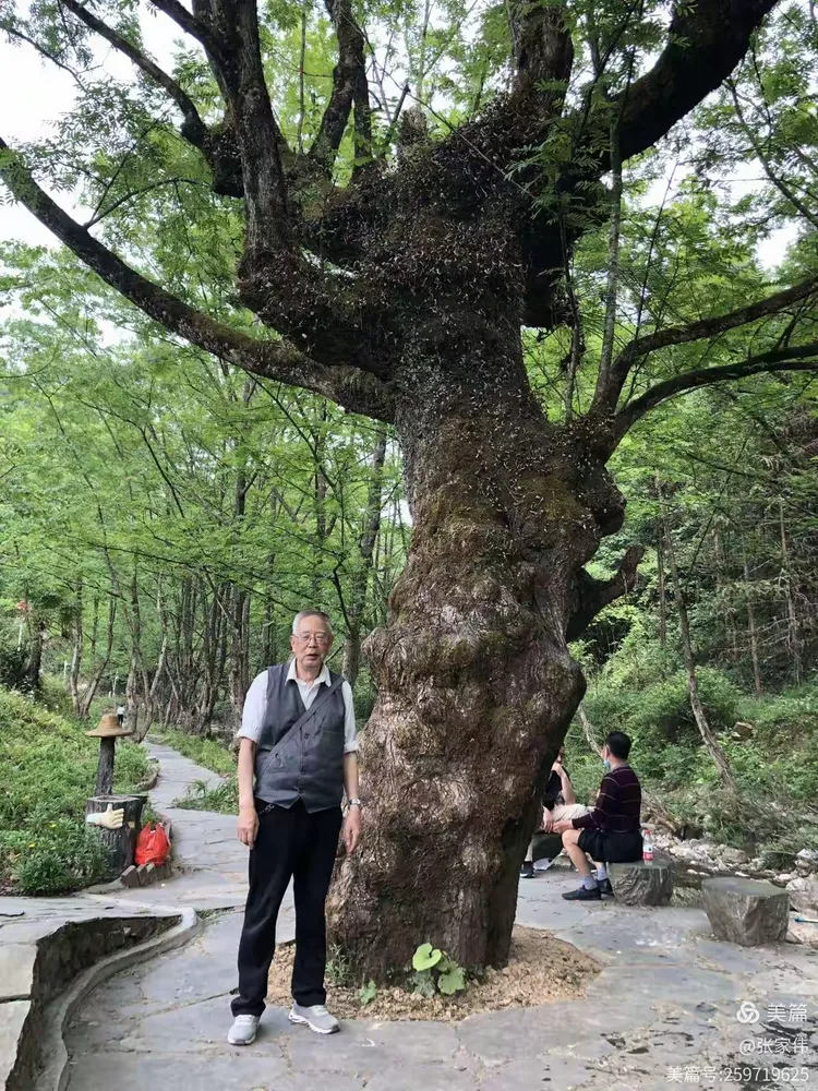 广元白朝乡月坝村